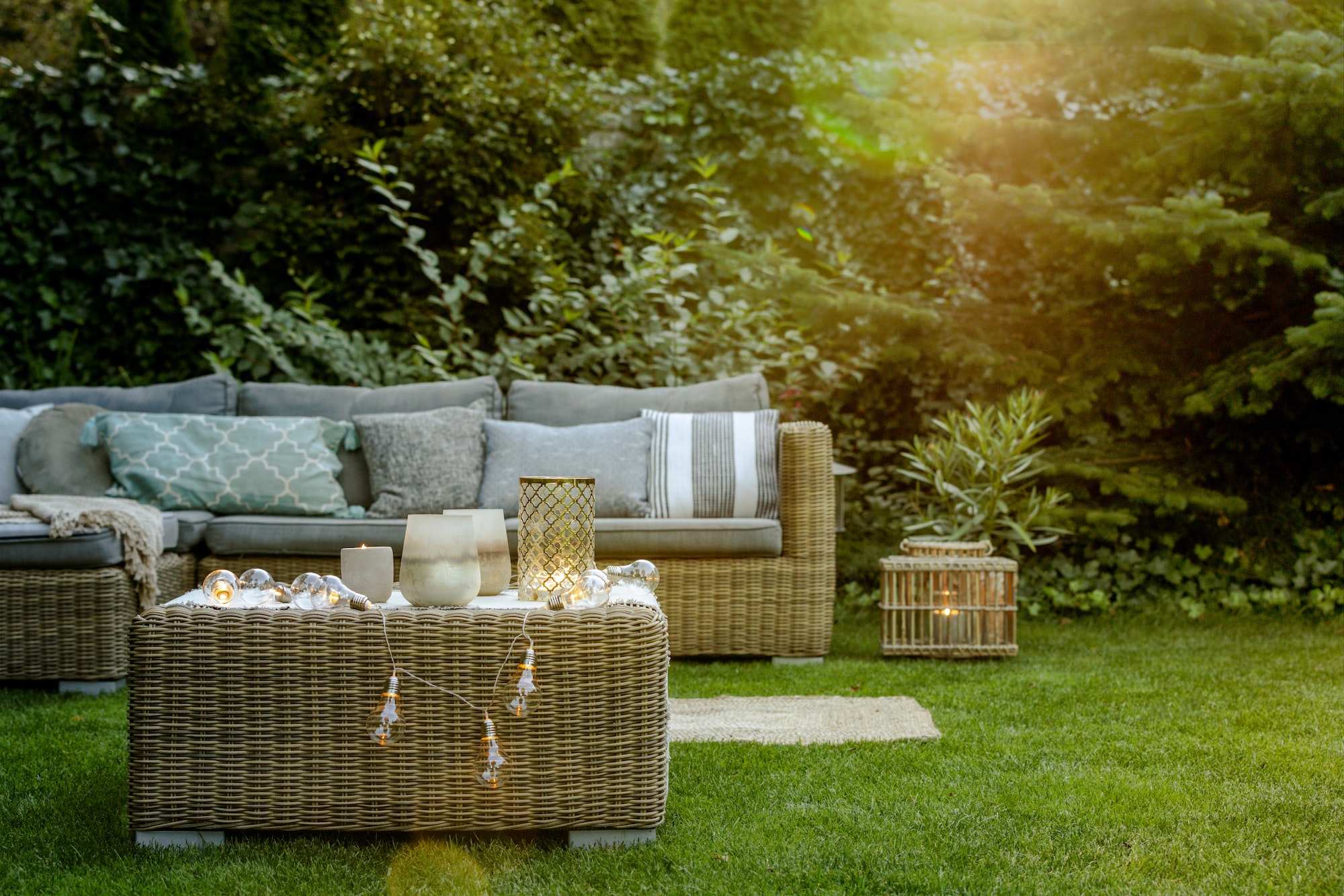 Modern designed garden
